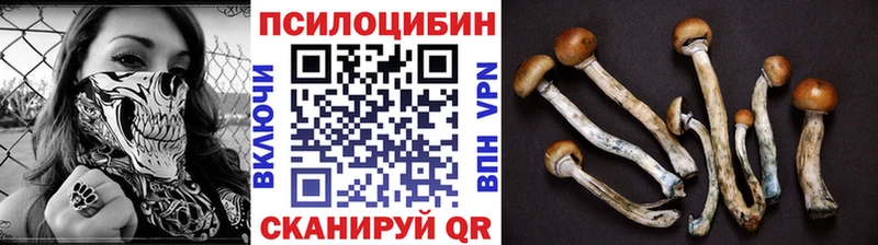 Псилоцибиновые грибы GOLDEN TEACHER  Семилуки 