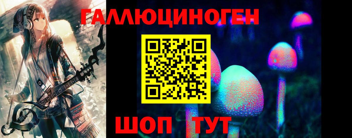 Псилоцибиновые грибы Cubensis  Вход с VPN  Семилуки 